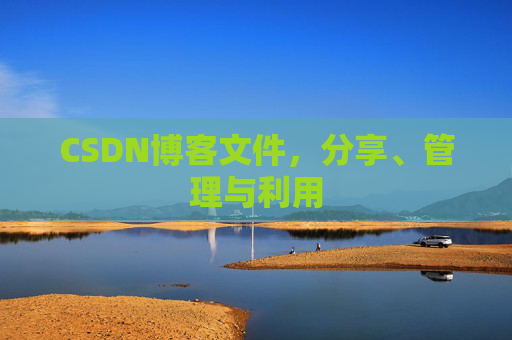 CSDN博客文件，分享、管理与利用